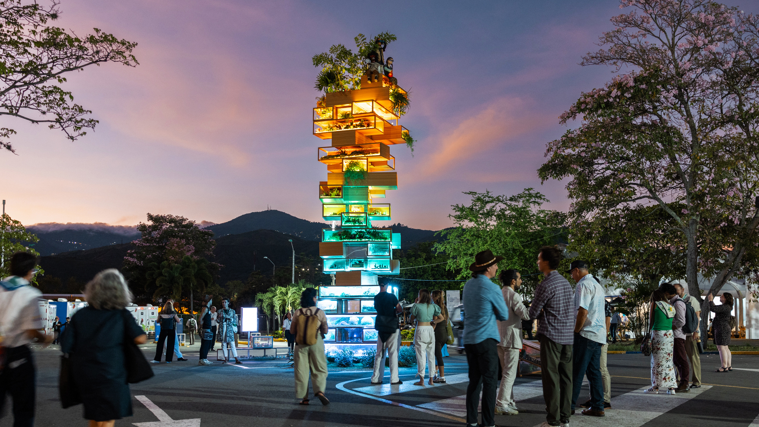Biodiversity Jenga at COP16 in Cali, Colombia